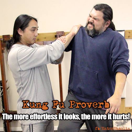 KUNG FU LESSONS ONLINE