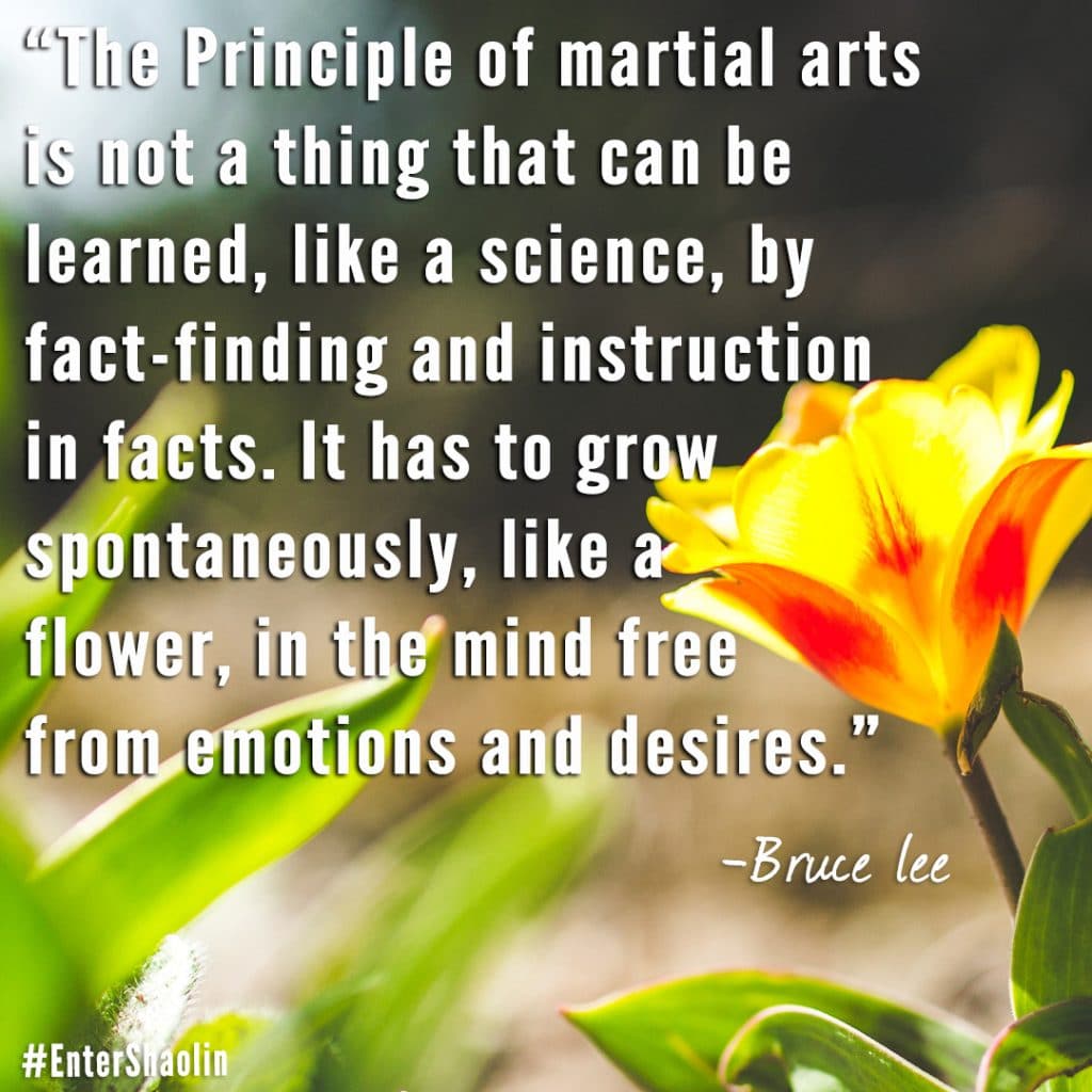 Enter Shaolin shares: The Principle of martial arts is not a thing that can be learned, like a science, by fact-finding and instruction in facts. It has to grow spontaneously, like a flower, in the mind free from emotions and desires. - Bruce Lee