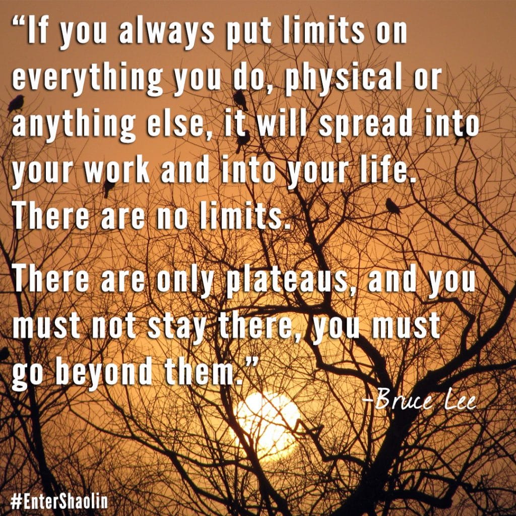 ENTER SHAOLIN SHARES: “IF YOU ALWAYS PUT LIMITS ON EVERYTHING YOU DO, PHYSICAL OR ANYTHING ELSE, IT WILL SPREAD INTO YOUR WORK AND INTO YOUR LIFE. THERE ARE NO LIMITS. THERE ARE ONLY PLATEAUS, AND YOU MUST NOT STAY THERE, YOU MUST GO BEYOND THEM.” ― BRUCE LEE
