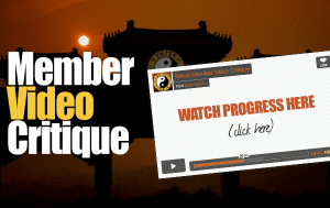 Member Video Critique