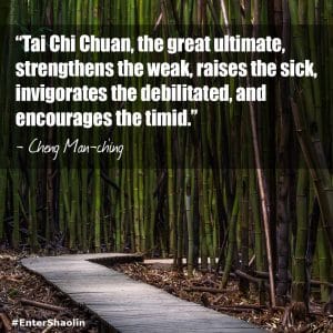 ENTER SHAOLIN TAI CHI MEME | “TAI CHI CHUAN, THE GREAT ULTIMATE, STRENGTHENS THE WEAK, RAISES THE SICK, INVIGORATES THE DEBILITATED, AND ENCOURAGES THE TIMID.” - CHENG MAN-CH'ING