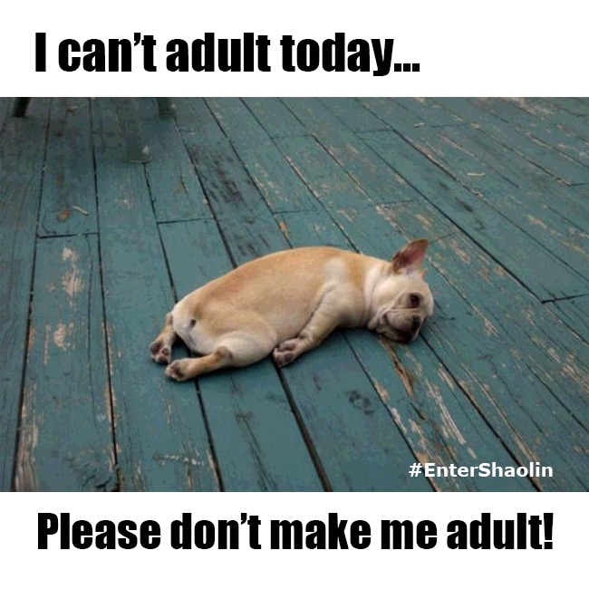 I can't adult today... Please don't make me adult!