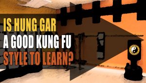 Hung Gar Kung Fu