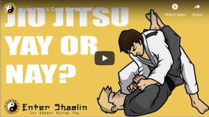 Jiu Jitsu And Punching Power