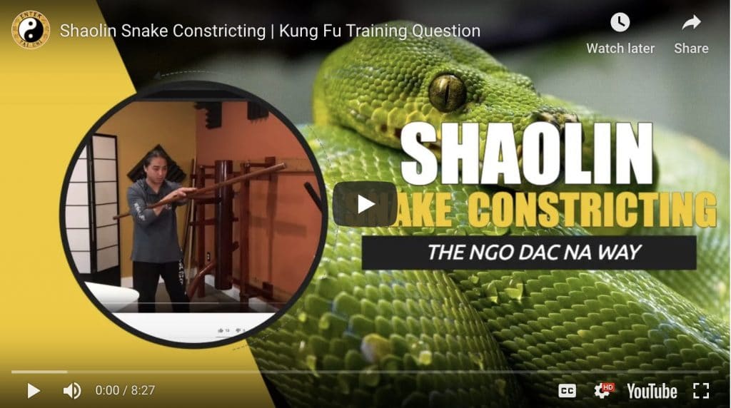 Shaolin Snake Constricting | Wrapping And Constricting Techniques ...