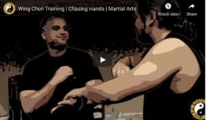 Learn Kung Fu Online