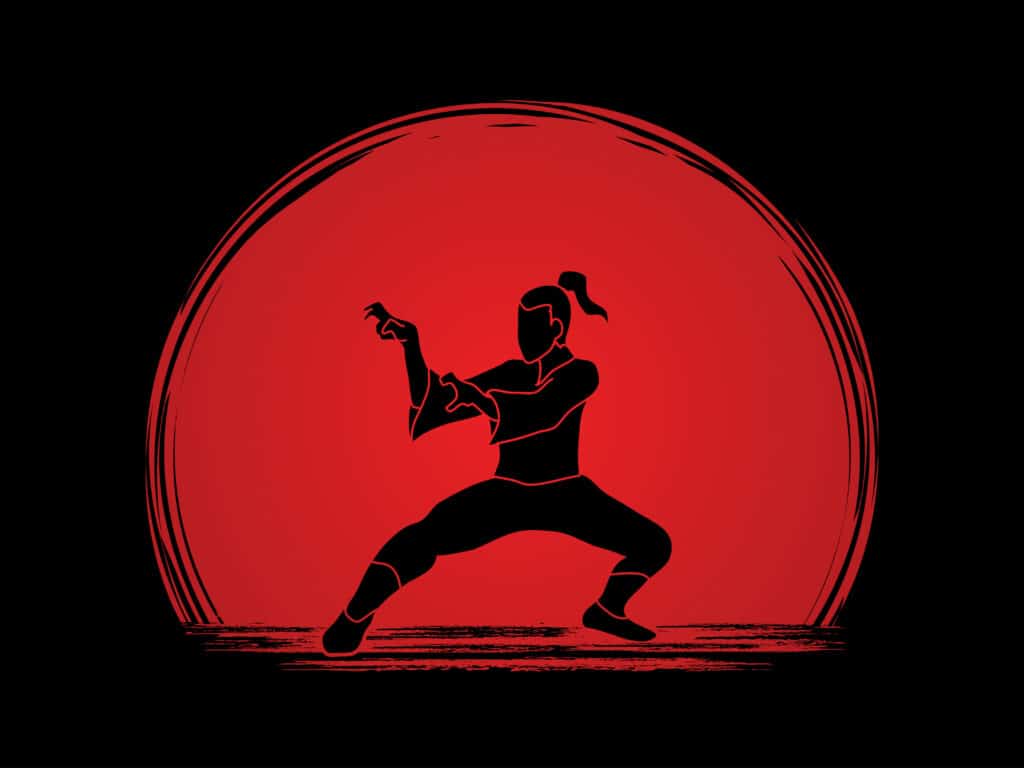 LEARN KUNG FU ONLINE